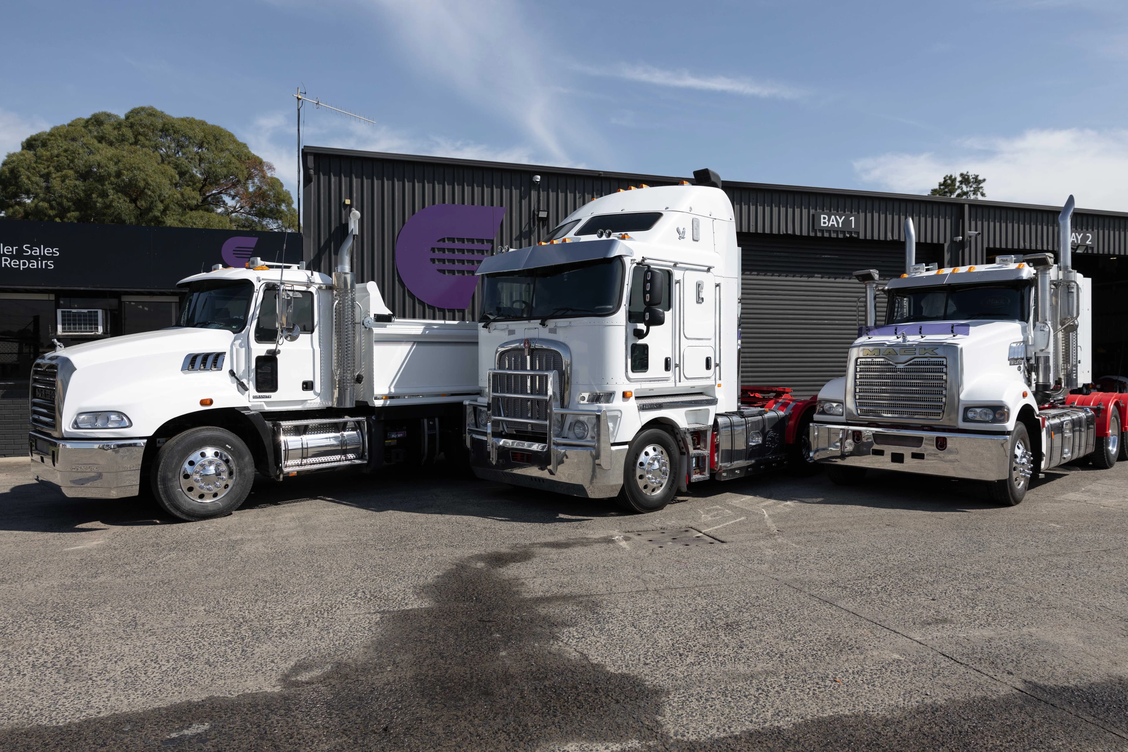 Three Peaks team with commercial truck